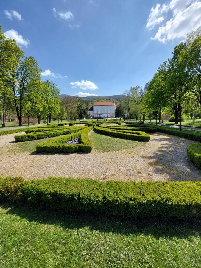 Aleks Sobe Hotel Banja Koviljaca Bagian luar foto