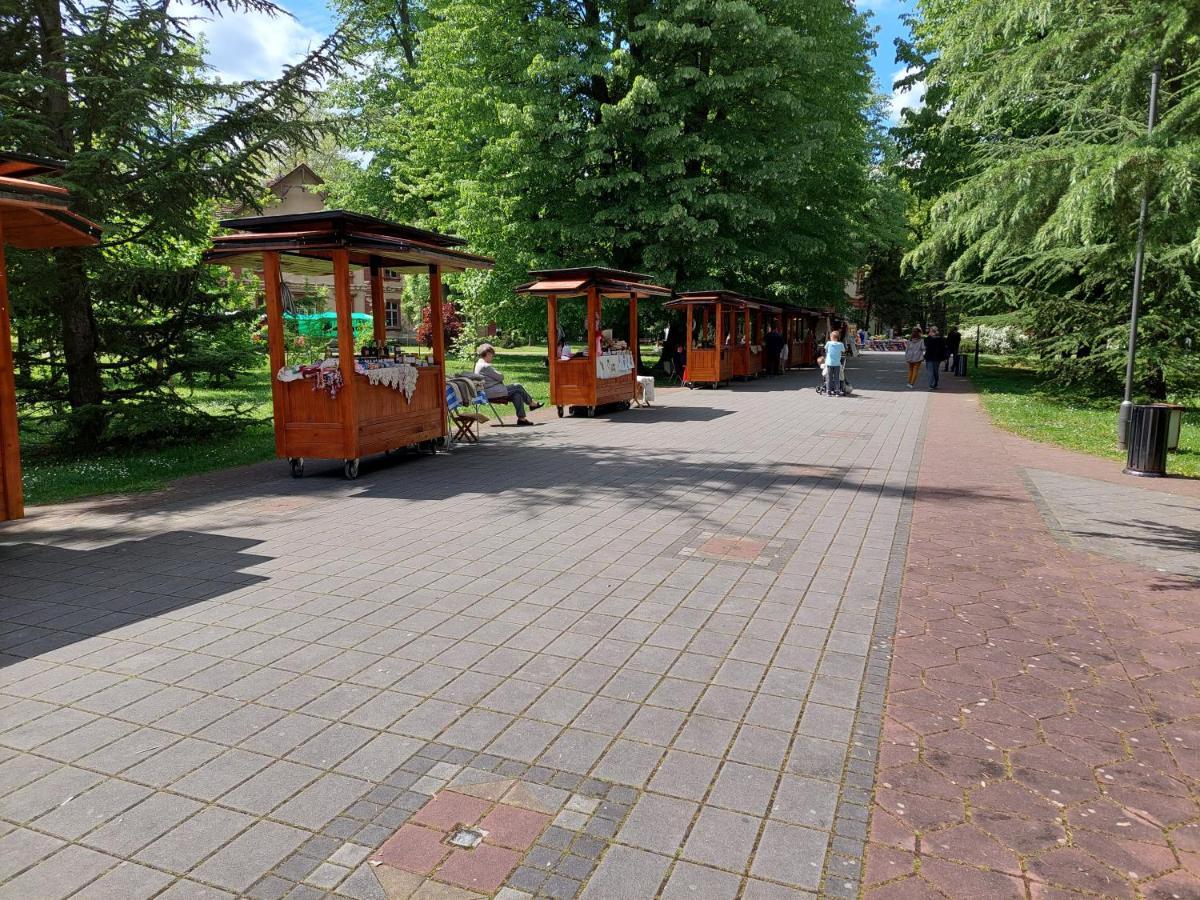 Aleks Sobe Hotel Banja Koviljaca Bagian luar foto