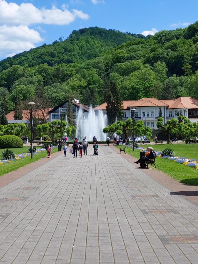 Aleks Sobe Hotel Banja Koviljaca Bagian luar foto