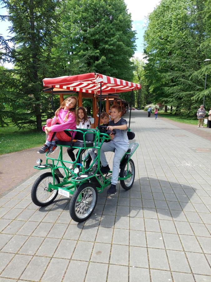 Aleks Sobe Hotel Banja Koviljaca Bagian luar foto